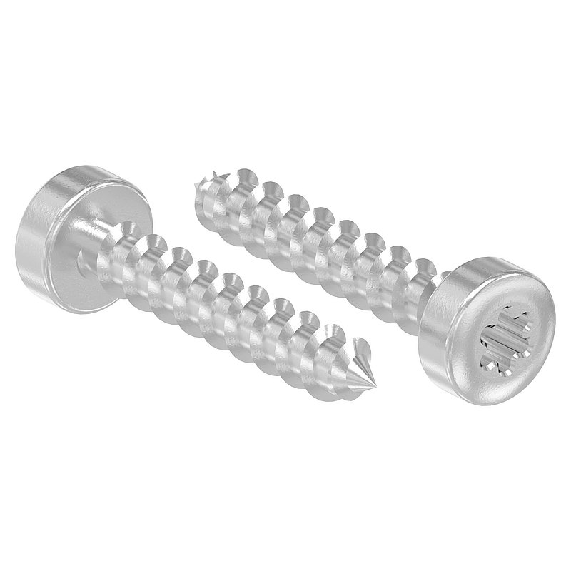 SPAX-Holzschrauben 5x30mm, V2A, mit Torxantrieb T20