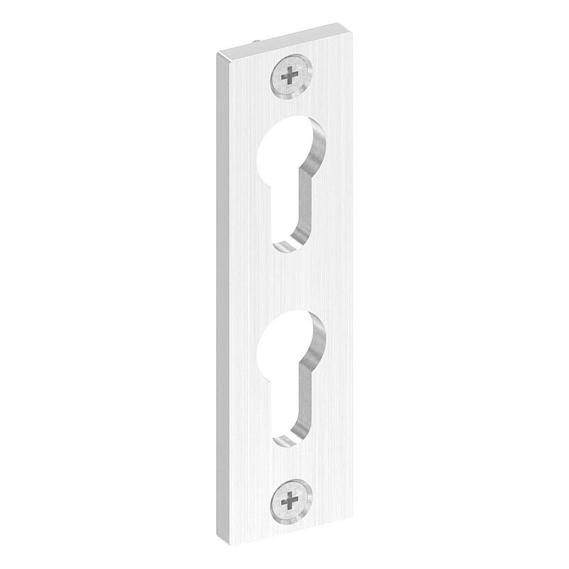 Zylinderrosette für zwei Profilzylinder, 32x120x6mm, V2A