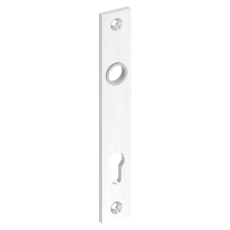 Langschild, Abmessung: 32x220x6mm, V2A