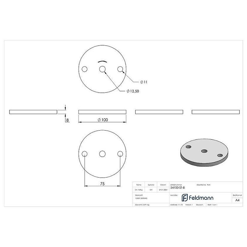 Anchor plate 100x8mm