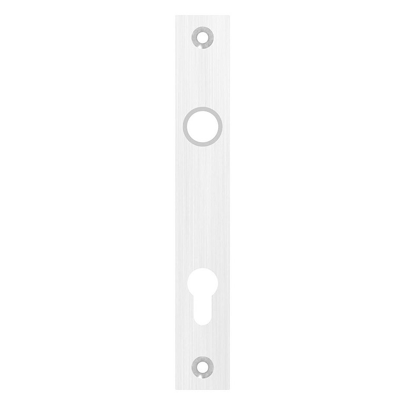 Long backplate, dimension: 32x220x6mm, AISI304