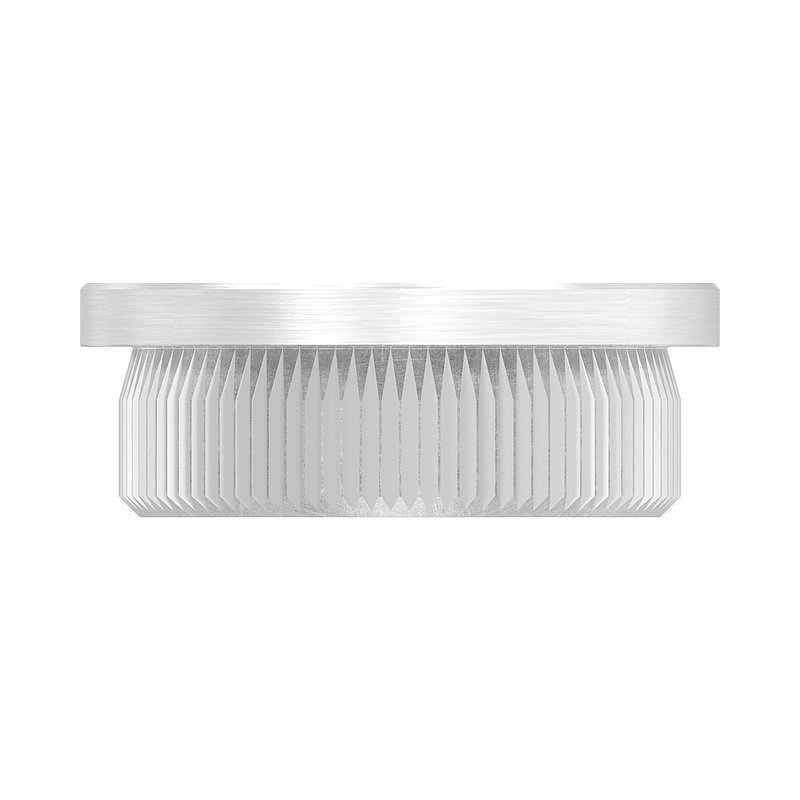 Rohrabschlussstopfen, für Rohr 30,0x2,0mm, V2A