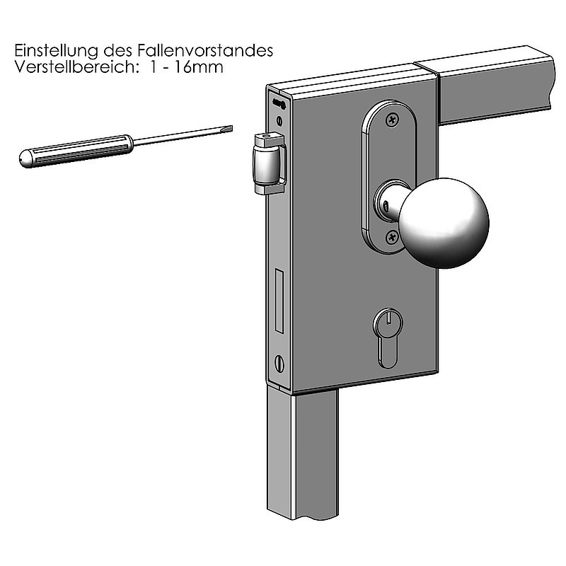 Lock case