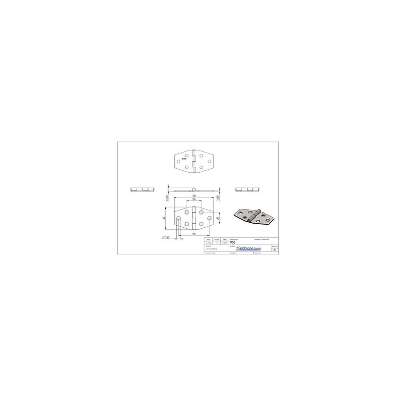 Charnière acier inoxydable 40x70mm avec tige fixe, V2A