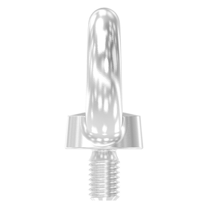 Anneau de levage fileté M8 DIN 580, fer rond : Ø 8mm, V4A