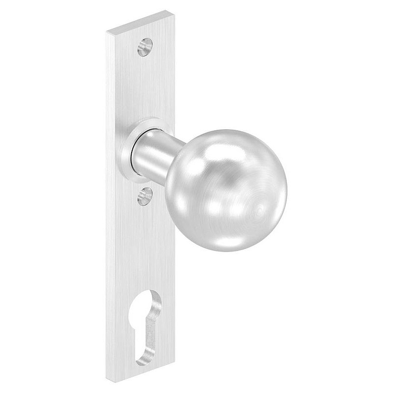 Bouton de porte, Ø 50mm, avec plaque longue, V2A