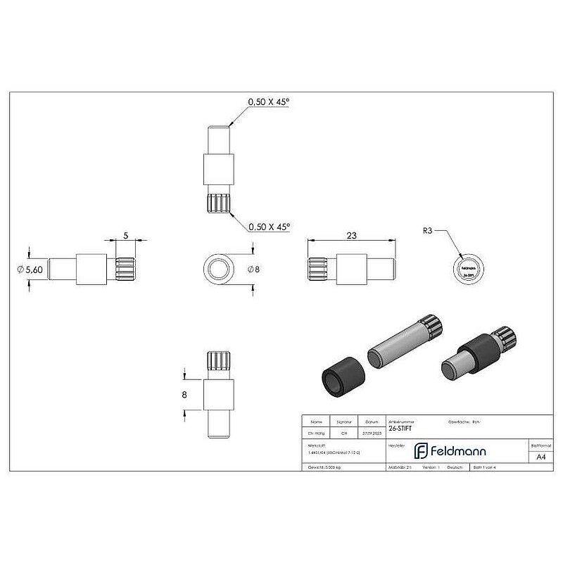 Sichtschutz Sicherungsstift Mod. 26, V4A