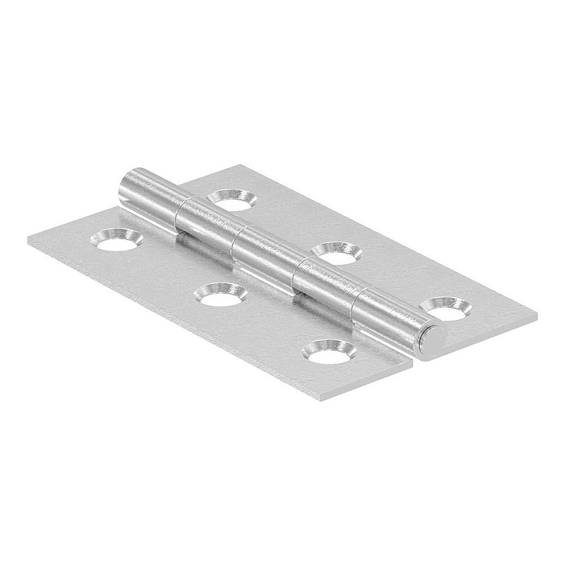 Edelstahl-Scharnier 50x30mm mit festem Zapfen