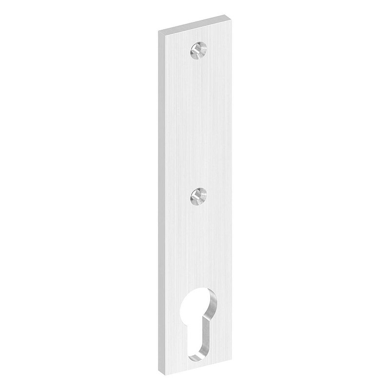 Langschild, Abmessung: 32x156x6mm, V2A