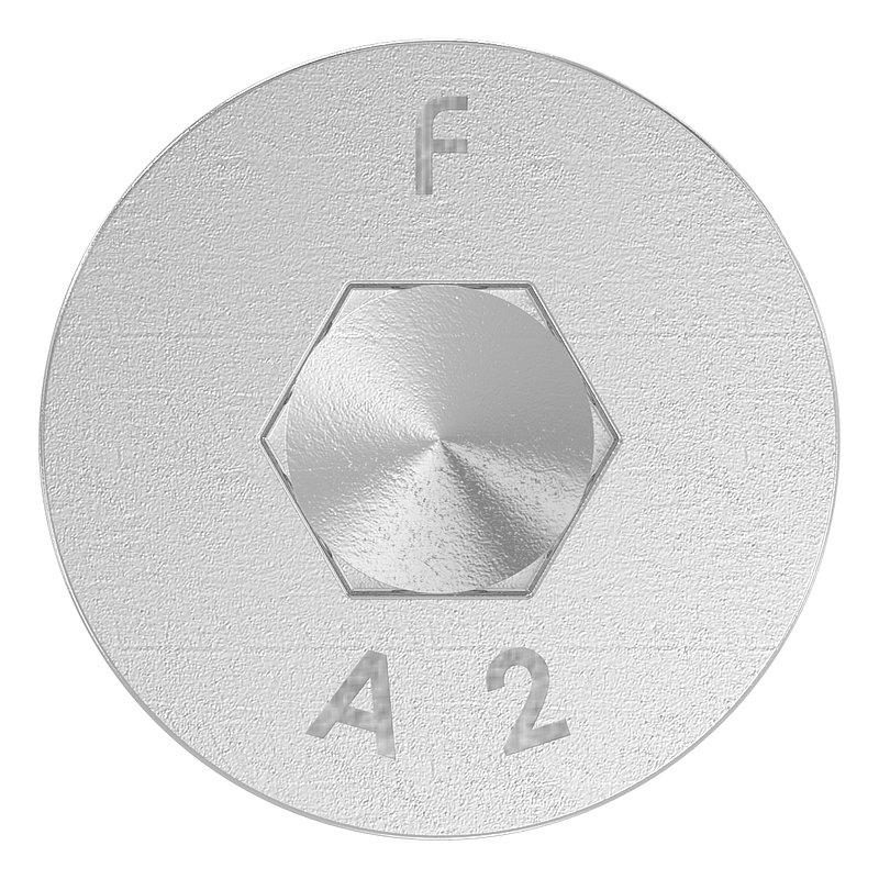 special screw M8 x 20, AISI304, 4 pcs