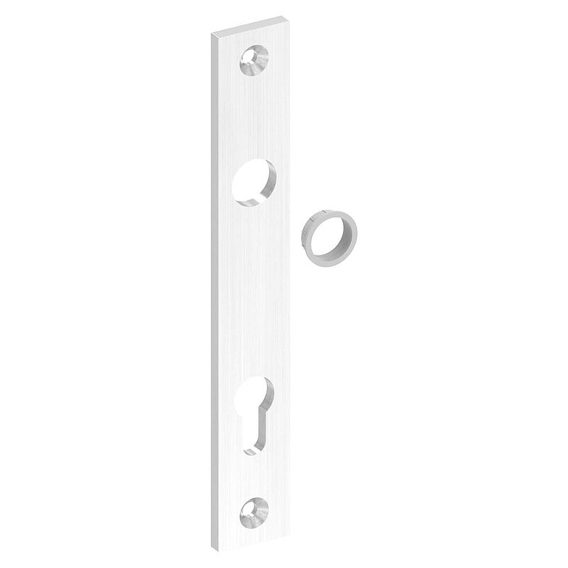 Long backplate, dimension: 32x220x6mm, AISI304