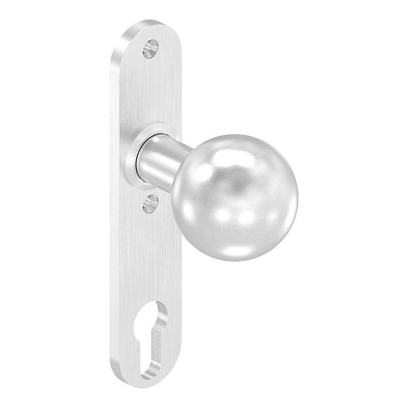 Bouton de porte, Ø 50mm, avec plaque longue, V2A