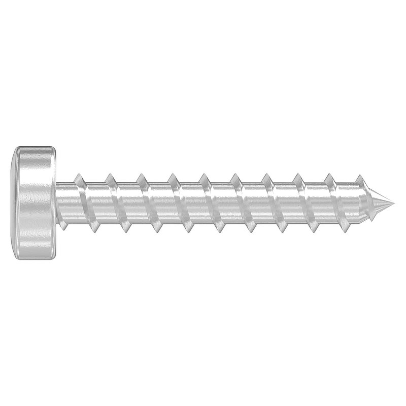 SPAX-Holzschrauben 5x30mm, V2A, mit Torxantrieb T20