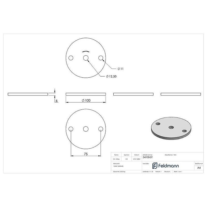 Ankerplatte 100x6mm