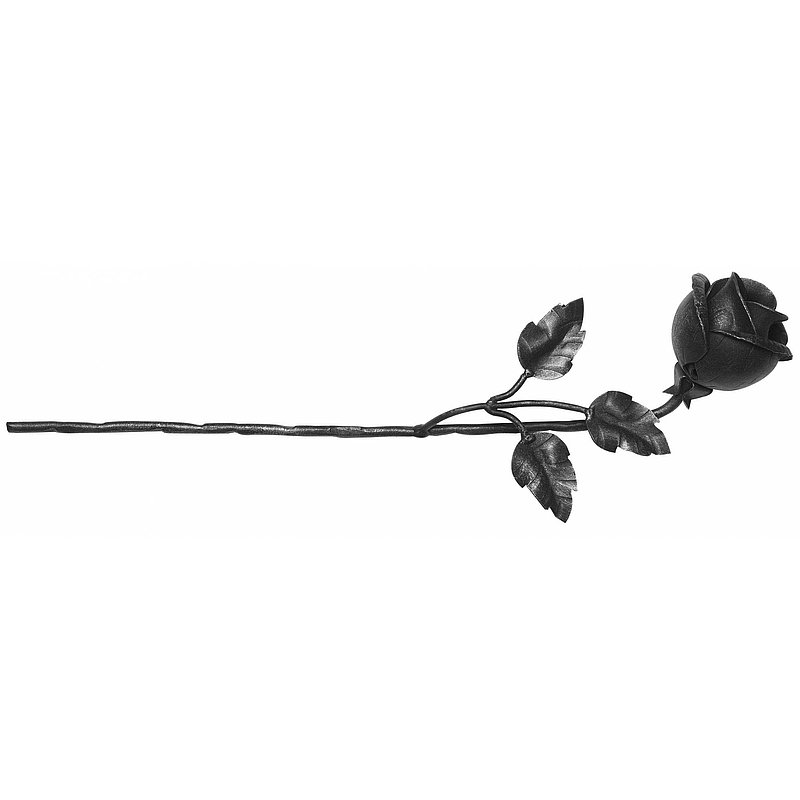Rose groß