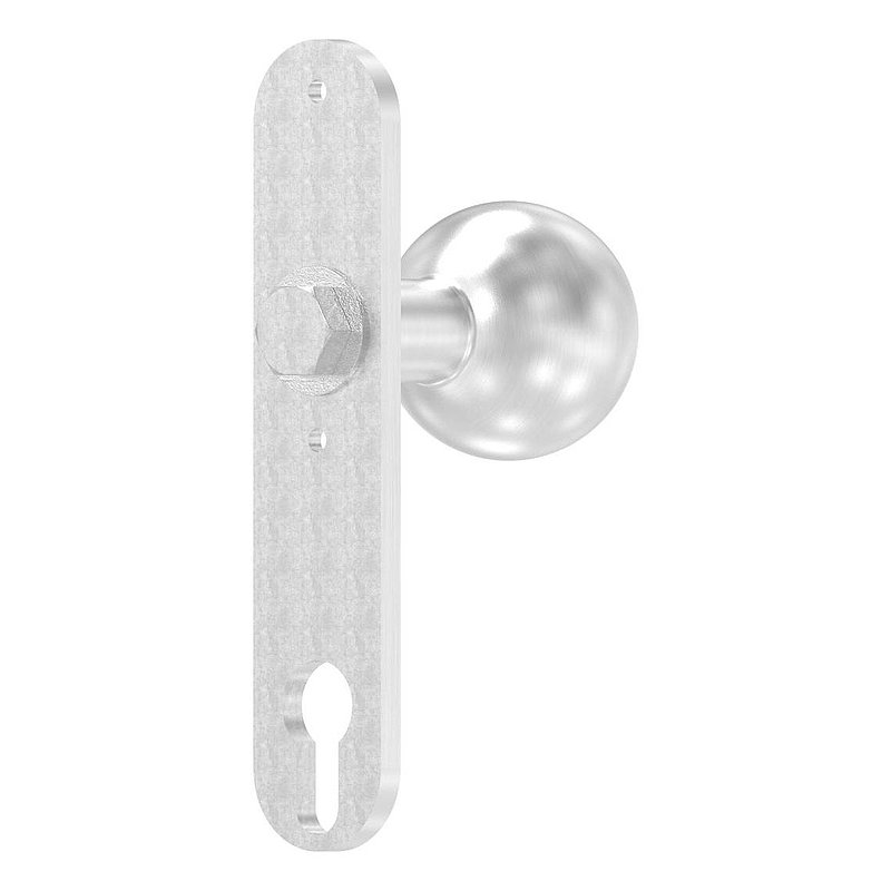 Bouton de porte, Ø 50mm, avec plaque longue, V2A