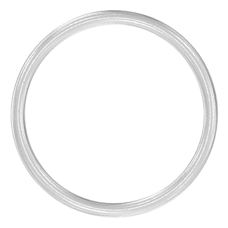 Ring, outer diameter: 48mm, AISI304