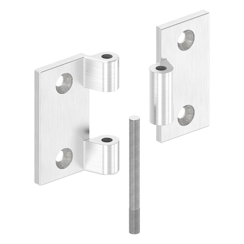 Hinge, suitable for door bolt for flat profiles, AISI316