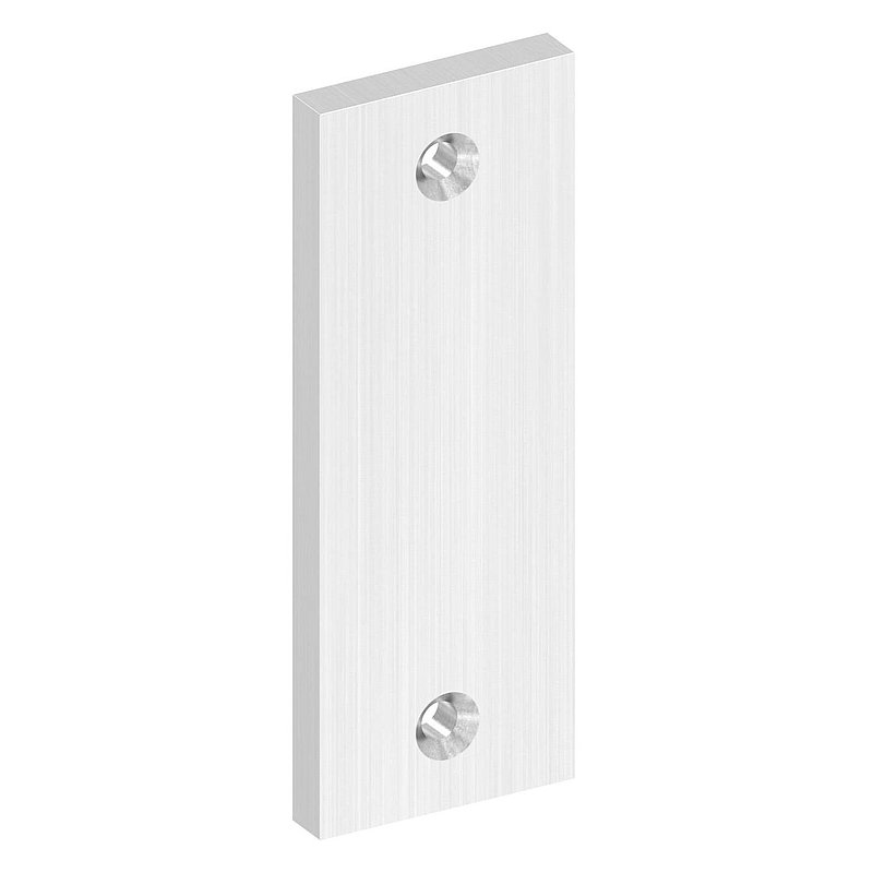 Kurzschild blind, Abmessung: 32x87x6mm, V2A