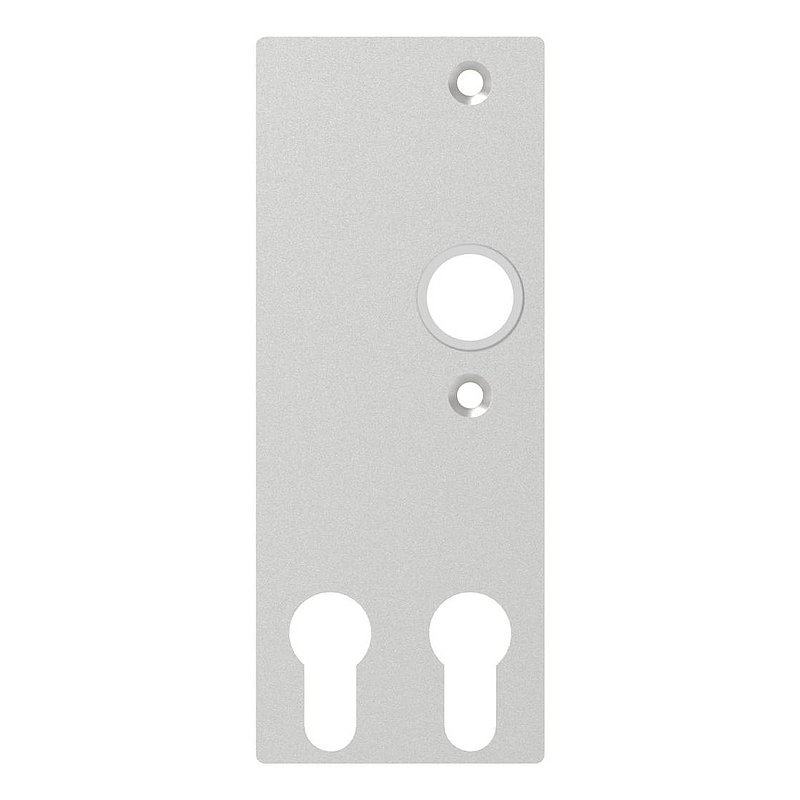 Plaque longue pour poignée de porte, pour 2 cylindres de porte