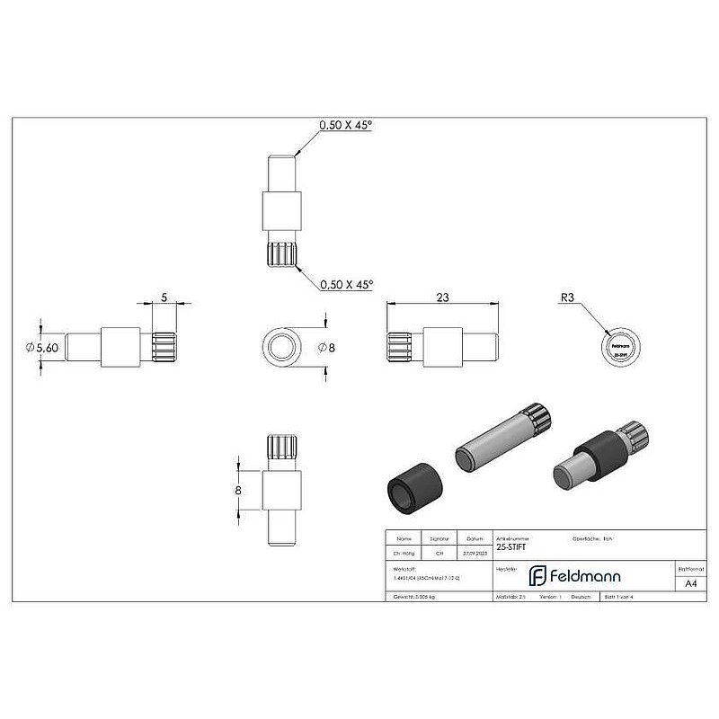 Sichtschutz Sicherungsstift Mod. 25, V4A