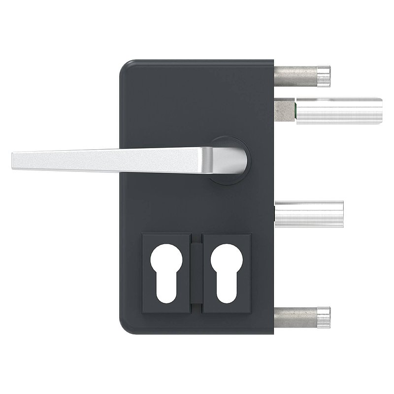 grille gate lock GTS 2 with double cylinder for tube thickness 40-60mm, housing RAL 7016