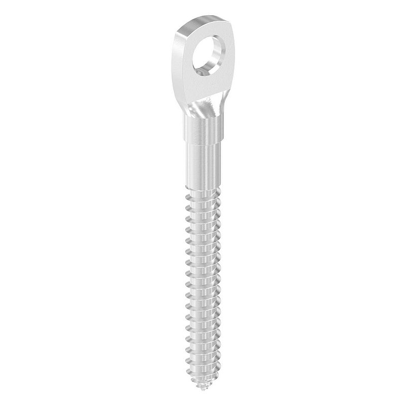 Augenschraube, mit Holzgewinde 6mm, V4A