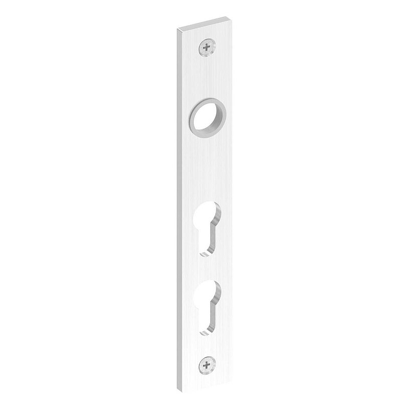 Langschild für zwei Profilzylinder, V2A