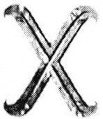 Buchstabe x