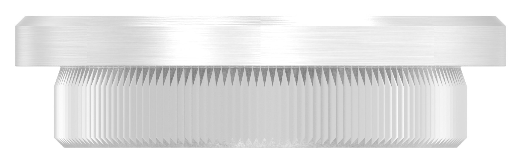 Rohrabschlussstopfen, für Rohr 48,3x4,0mm, V2A