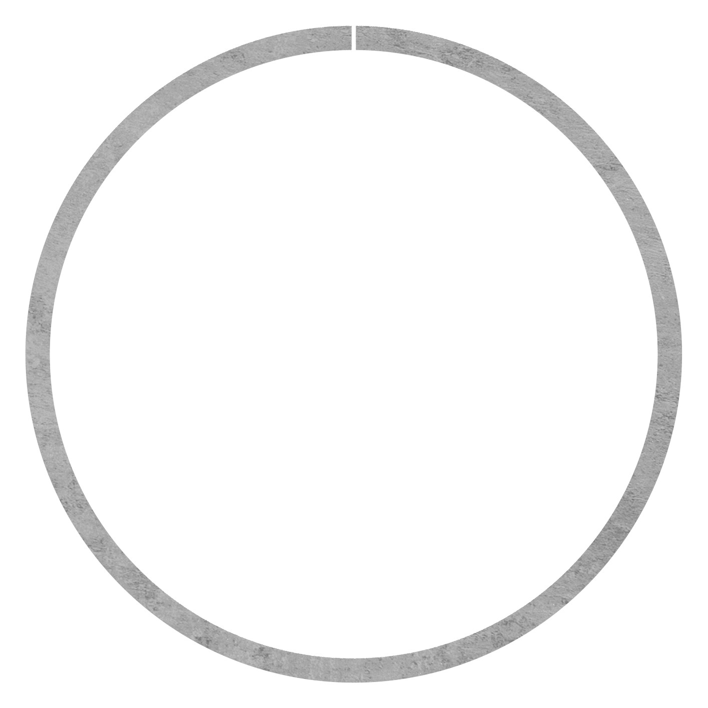 Ring 12x6mm, AußenØ 160mm Ring 12x6mm, AußenØ 160mm