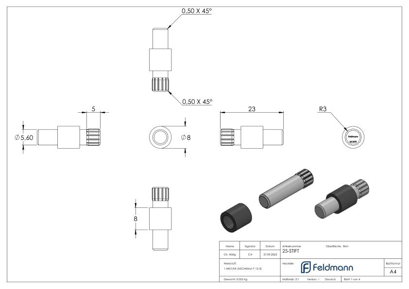 Sichtschutz Sicherungsstift Mod. 25, V4A