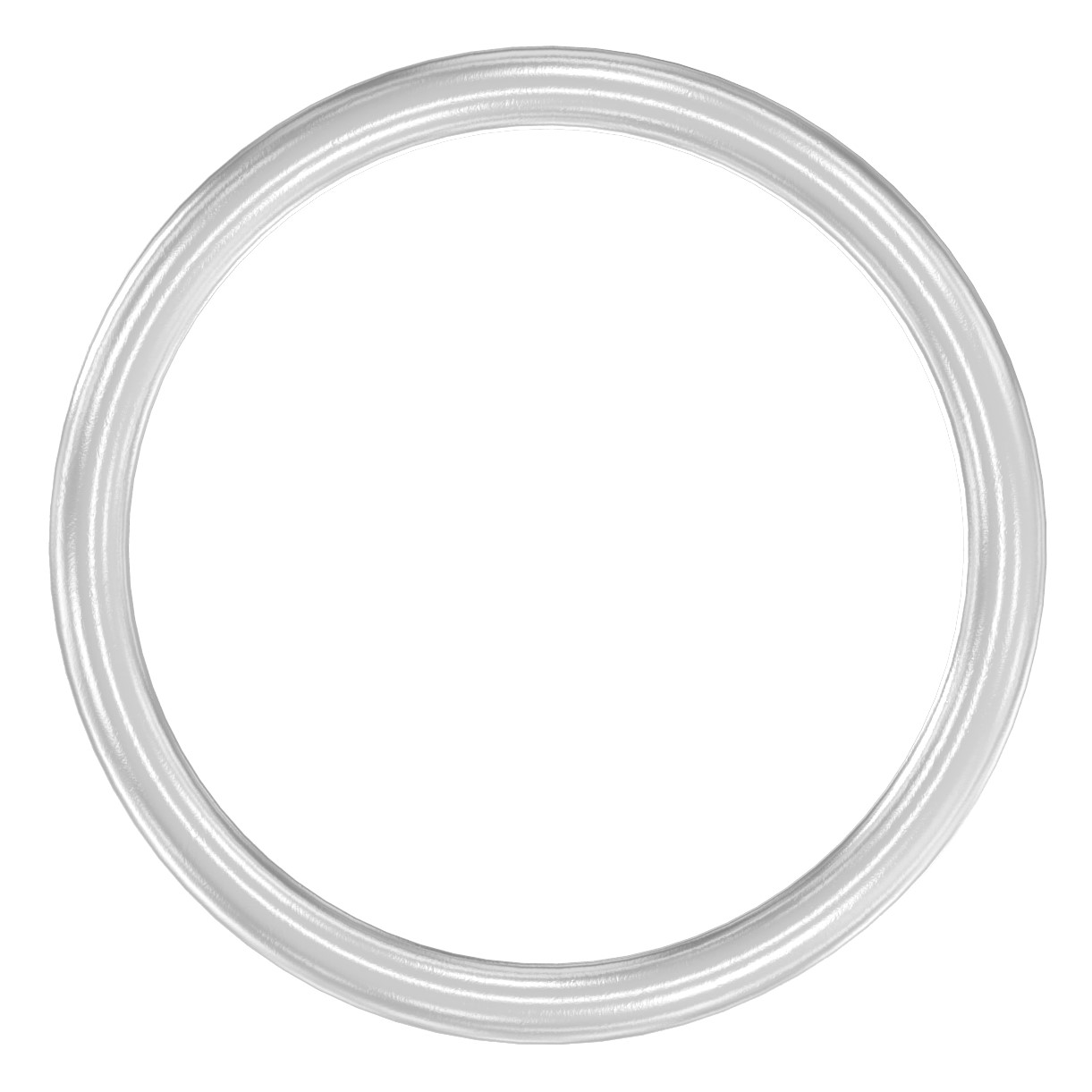 Ring, AußenØ: 120mm, V2A