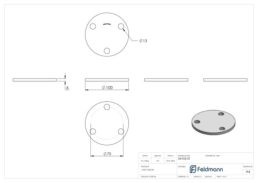Ankerplatte 100x6mm