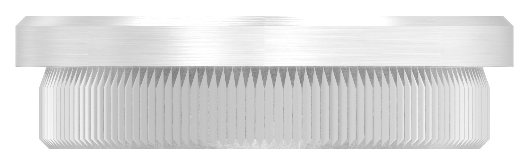 Rohrabschlussstopfen, für Rohr 48,3x2,5mm, V2A