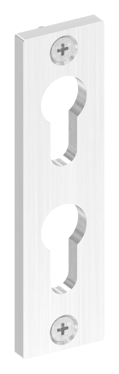 Zylinderrosette für zwei Profilzylinder, 32x120x6mm, V2A Zylinderrosette für zwei Profilzylinder, 32x120x6mm, V2A