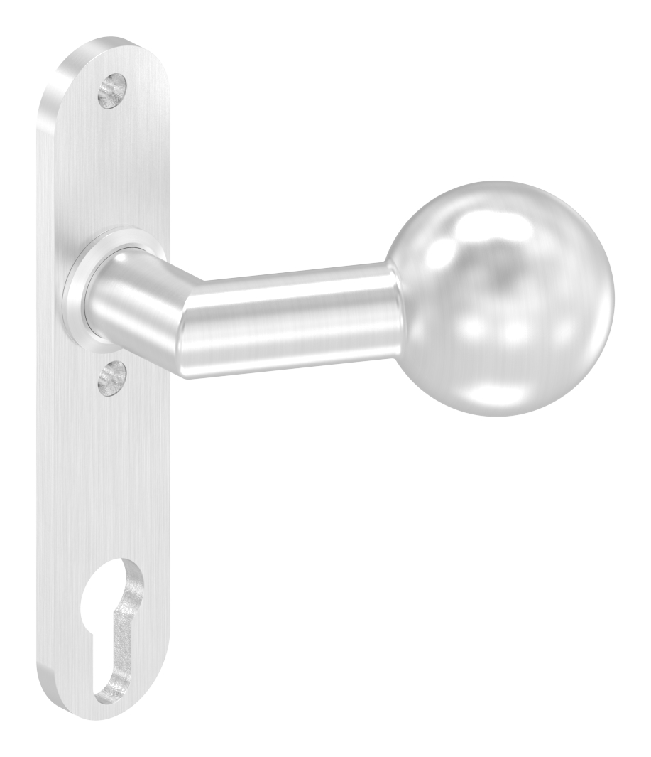 Türknopf, Ø 50mm, mit Langschild, V2A