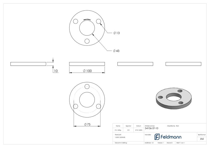 Ankerplatte 100x10mm