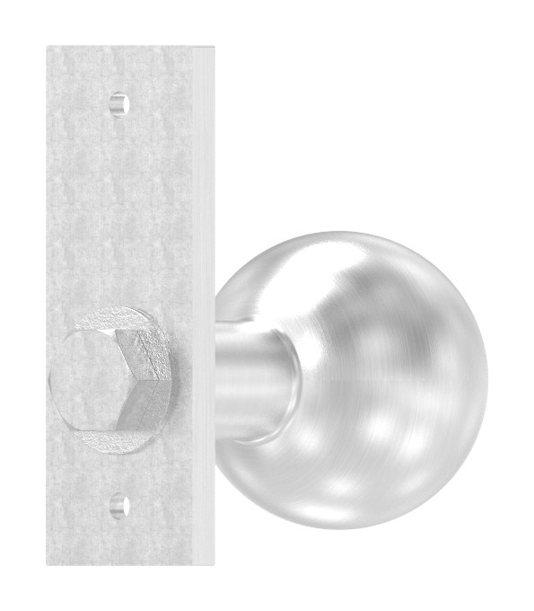 Türknopf, Ø 50mm, mit Kurzschild, V2A Türknopf, Ø 50mm, mit Kurzschild, V2A