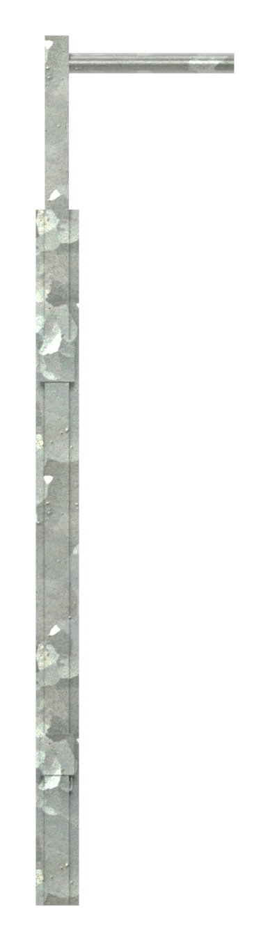Torriegel
