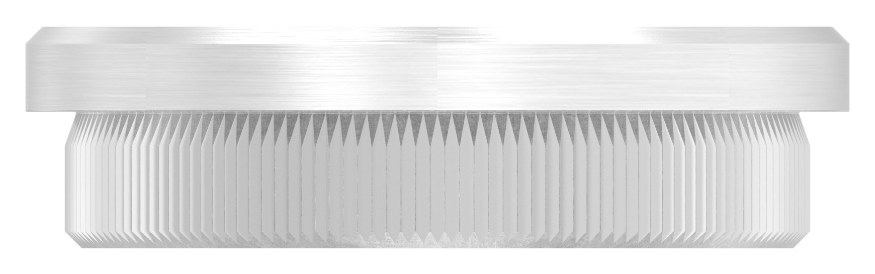 Rohrabschlussstopfen, für Rohr 48,3x2,5mm, V2A