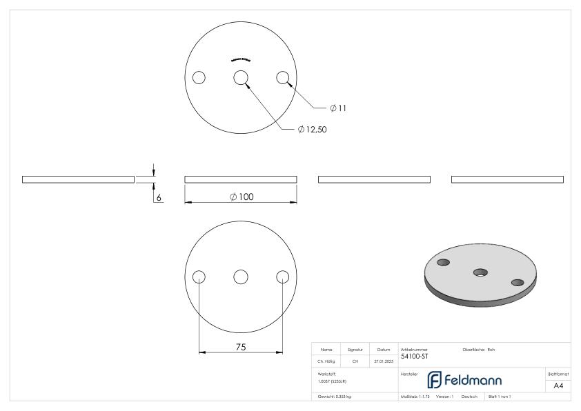 Ankerplatte 100x6mm