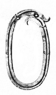 Buchstabe O