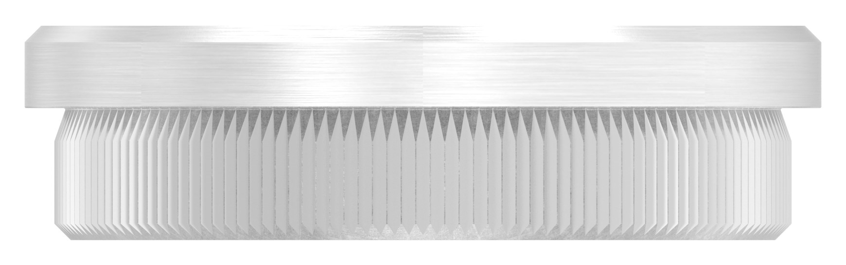 Rohrabschlussstopfen, für Rohr 48,3x2,0mm, V2A