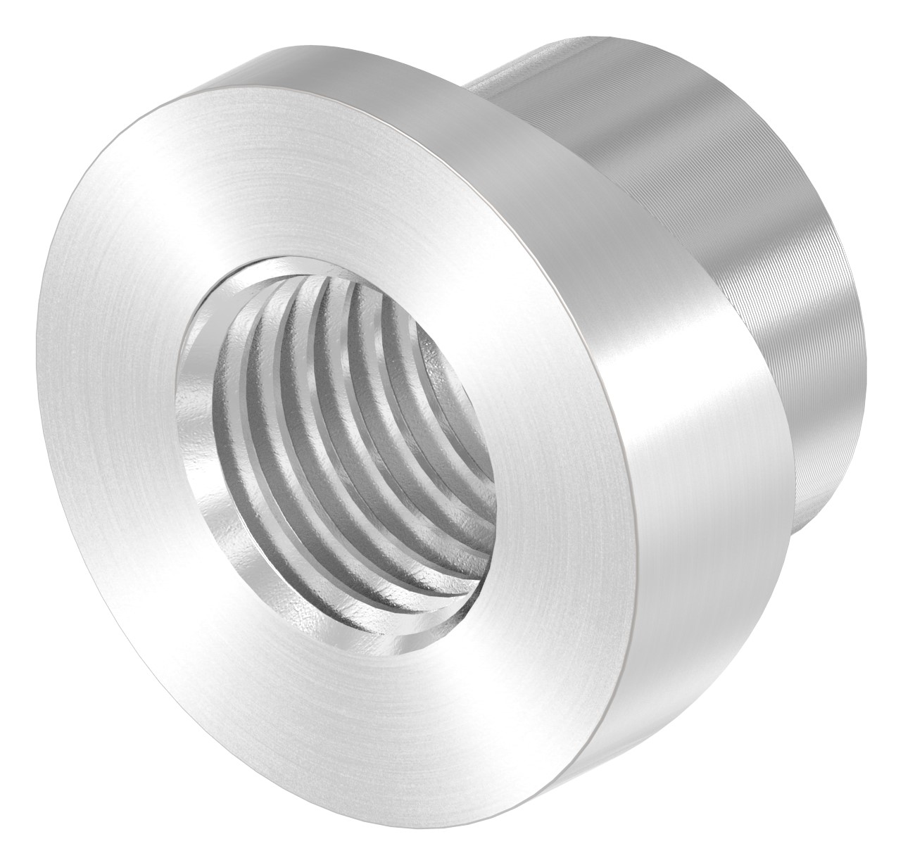 Gewindehülse, passend zu Torband 120-M16-VA, für Rohr 48,3mm, V2A Gewindehülse, passend zu Torband 120-M16-VA, für Rohr 48,3mm, V2A