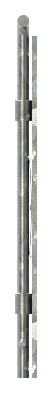 Torriegel