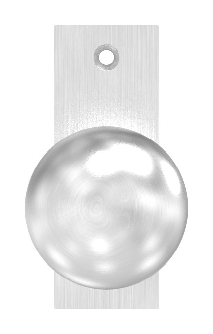 Türknopf, Ø 50mm, mit Kurzschild, V2A Türknopf, Ø 50mm, mit Kurzschild, V2A