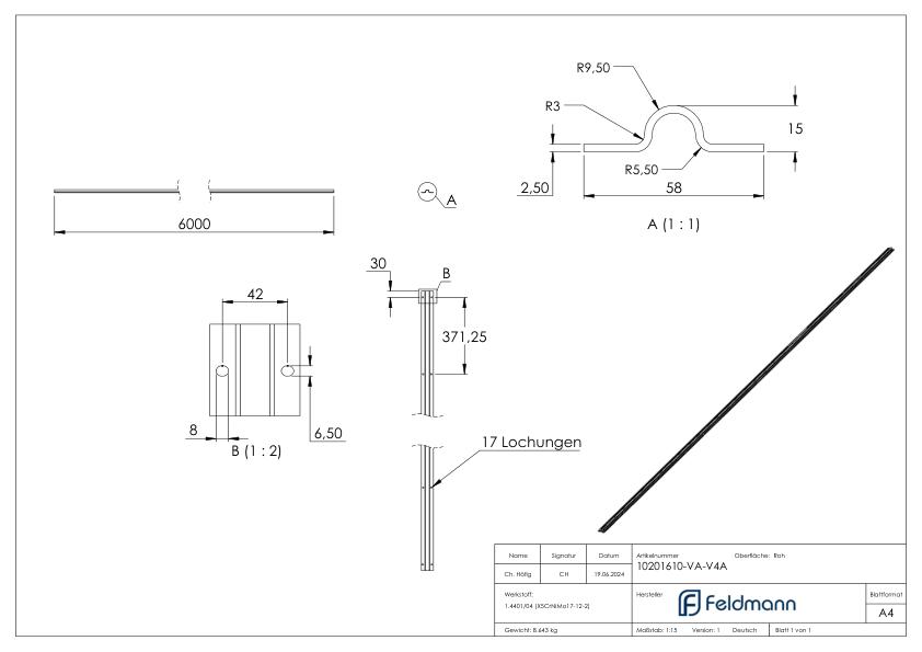 Laufschiene zum Aufschrauben, L: 6000mm, V4A