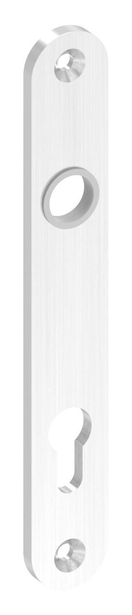 Langschild, Abmessung: 32x220x6mm, V2A