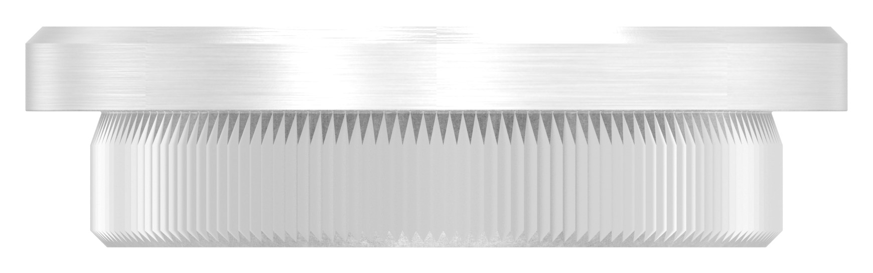 Rohrabschlussstopfen, für Rohr 48,3x4,0mm, V2A